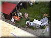 PICT7723.JPG