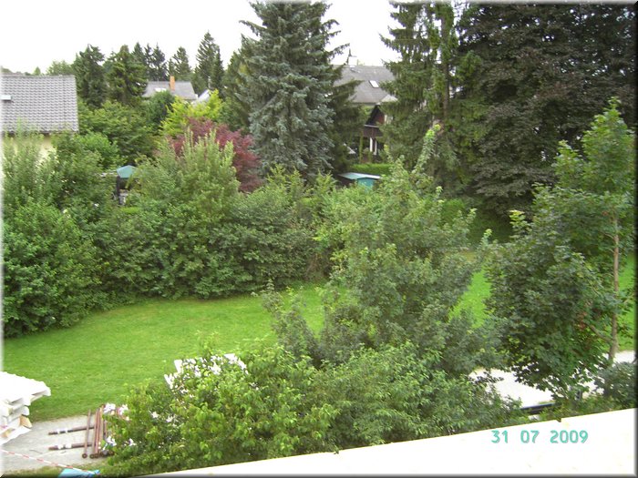 PICT7747.JPG
