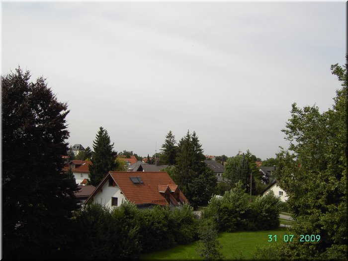PICT7779.JPG