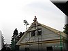 PICT7803.JPG