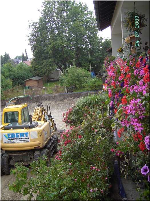 PICT7169.JPG