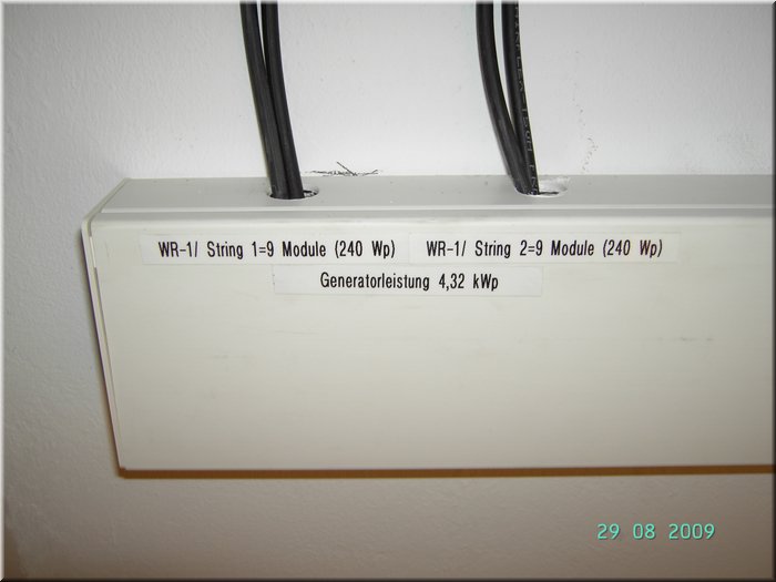 PICT8291.JPG