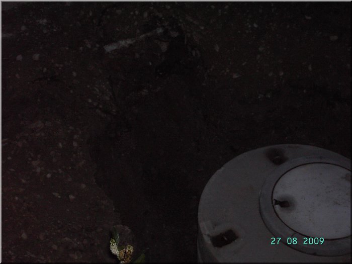 PICT8243.JPG