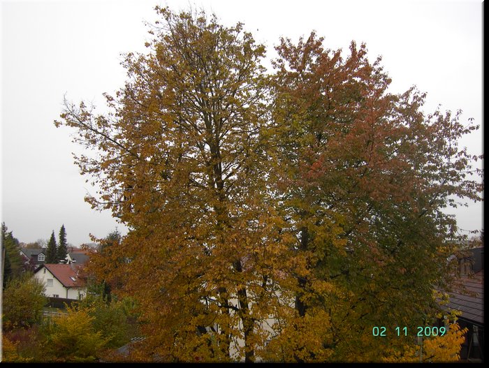 PICT9004.JPG