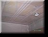 PICT9036.JPG