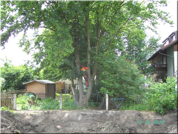 PICT6856.JPG
