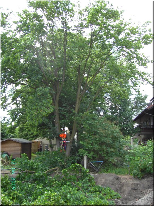 PICT6859.JPG
