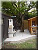 PICT2193.JPG