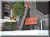 PICT2247.JPG