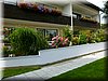 P1000966.JPG